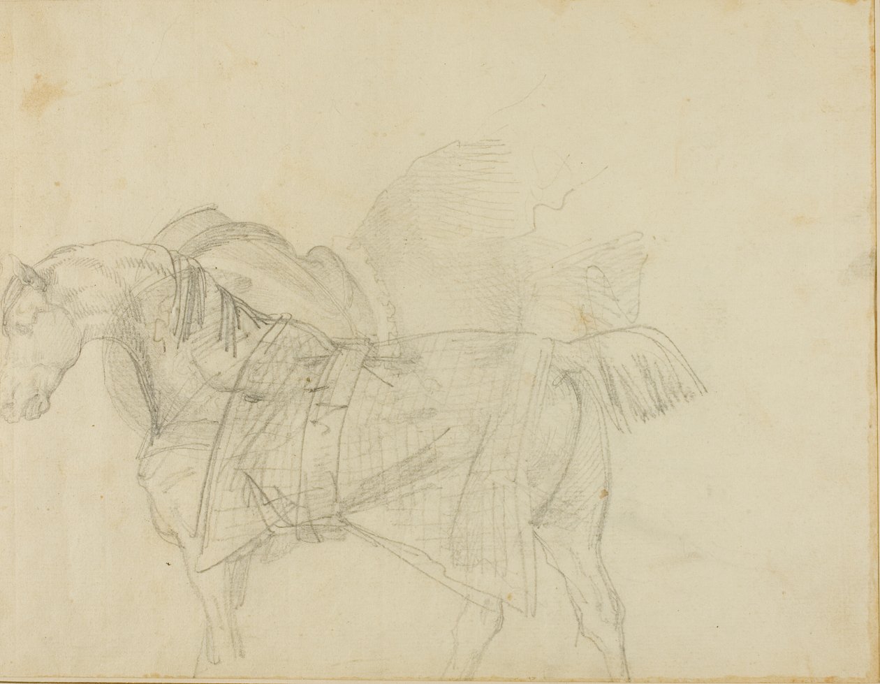 Caballo con manta de Jean Louis André Théodore Géricault