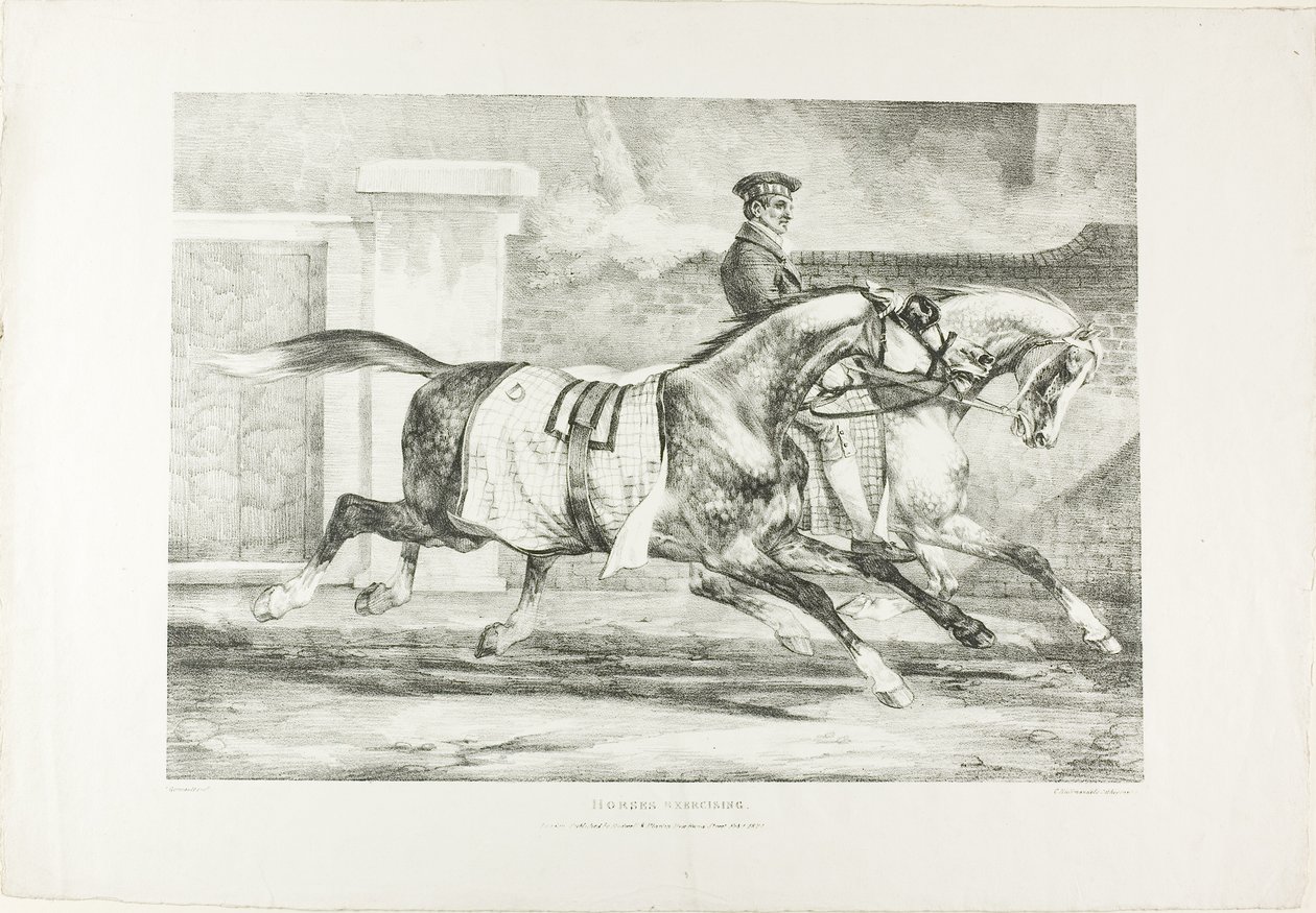 Caballos ejercitándose, lámina 6 de Varios temas dibujados del natural sobre piedra de Jean Louis André Théodore Géricault