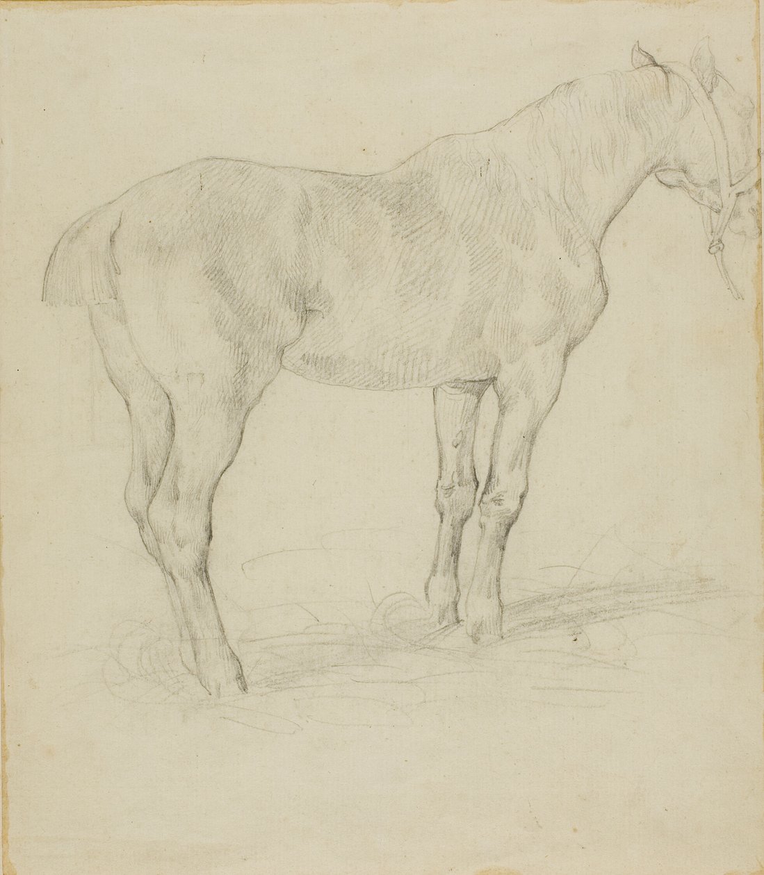Caballo de pie de Jean Louis André Théodore Géricault