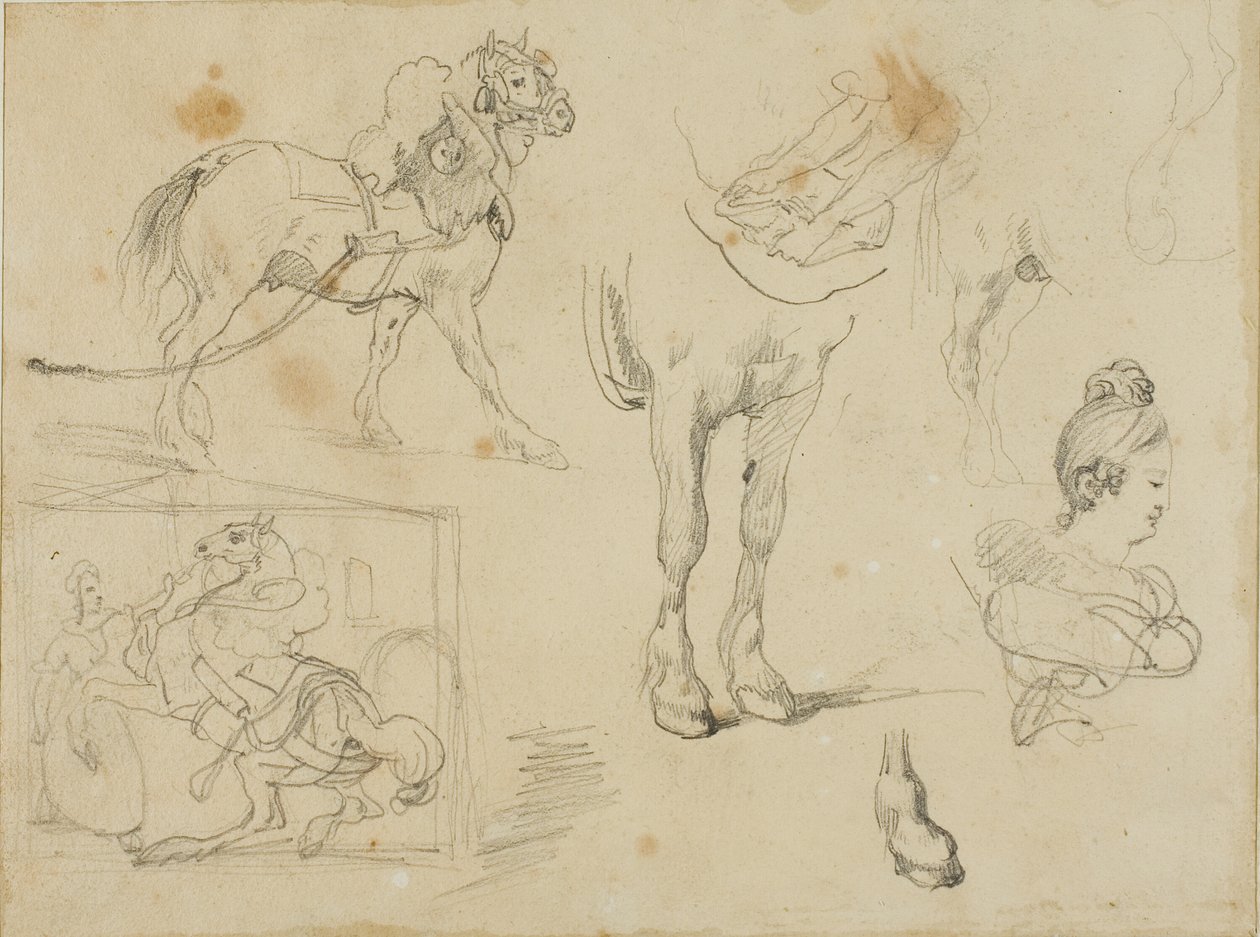 Estudios de un caballo de tiro, un herrero y una joven de Jean Louis André Théodore Géricault