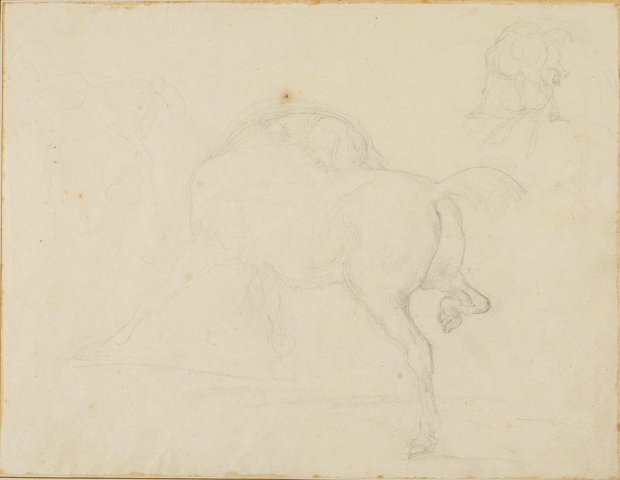 Estudio de un caballo que gira la cabeza y levanta la pata trasera de Jean Louis André Théodore Géricault