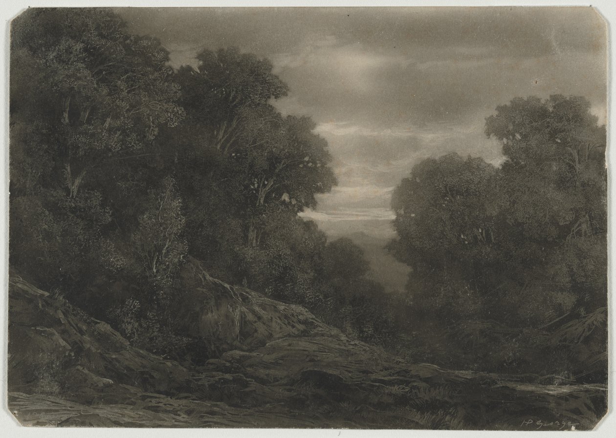 Paisaje con árboles de Jean Philippe George
