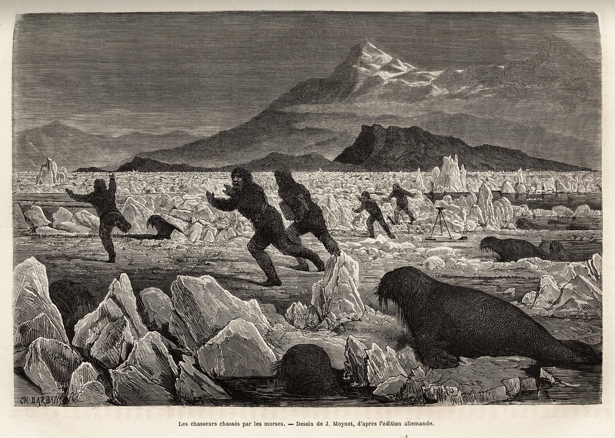 Parte de la tripulación del barco La Germania, en las Islas Clavering, descendieron sobre el hielo para cazar, fueron ellos mismos cazados por morsas que salían del agua, grabado después del dibujo de J. Moynet, ilustrando un viaje al Polo Norte en 1869-18 de Jean Pierre Moynet