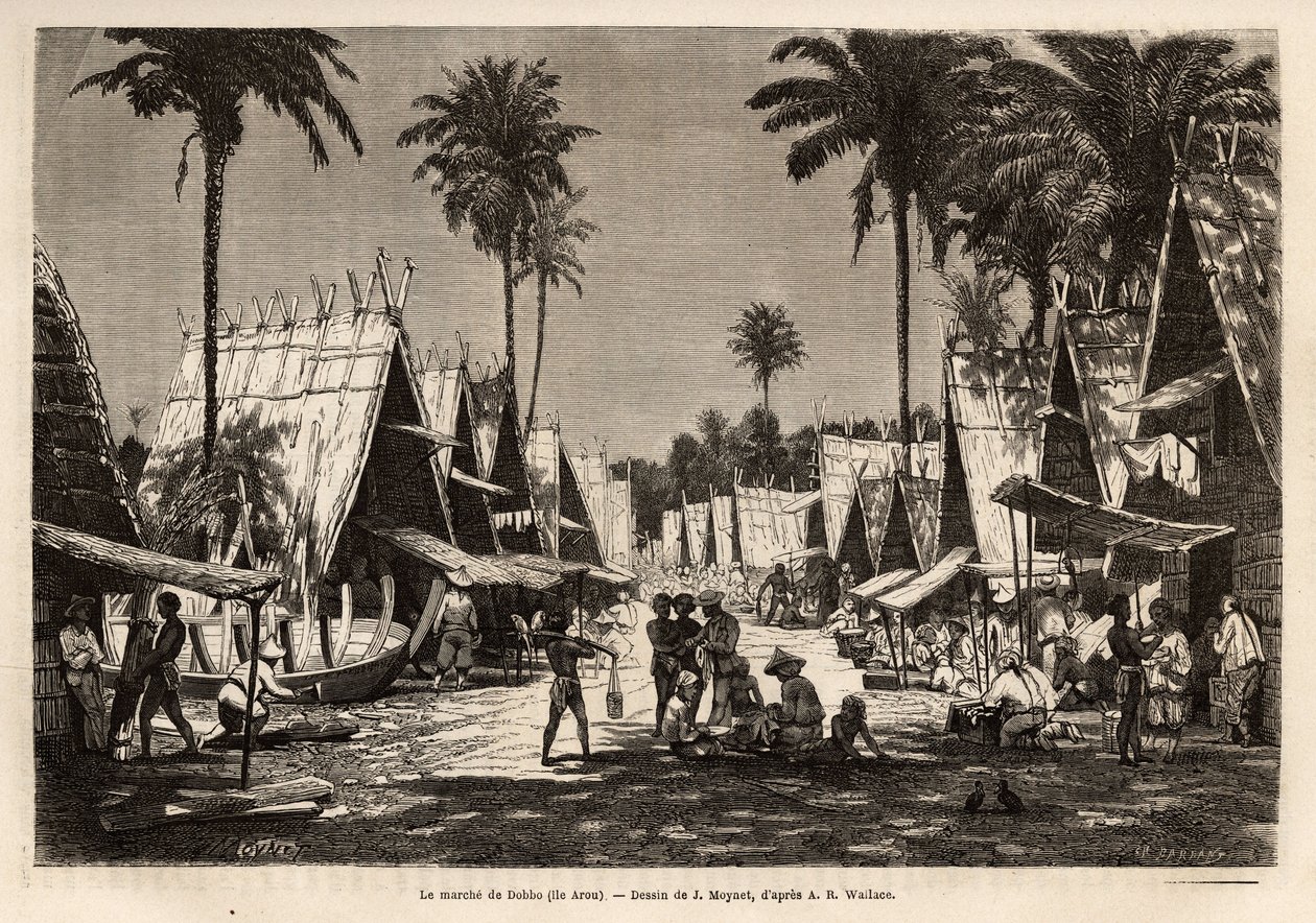 La marcha de Dobbo, en la Isla Arou, un centro portuario, animado por muchos comerciantes y construcción de barcos, grabado después del dibujo de J.Moynet, ilustrando el viaje al archipiélago malayo en 1854-1862, por Alfred Russell Wallace (1823-1913), un de Jean Pierre Moynet