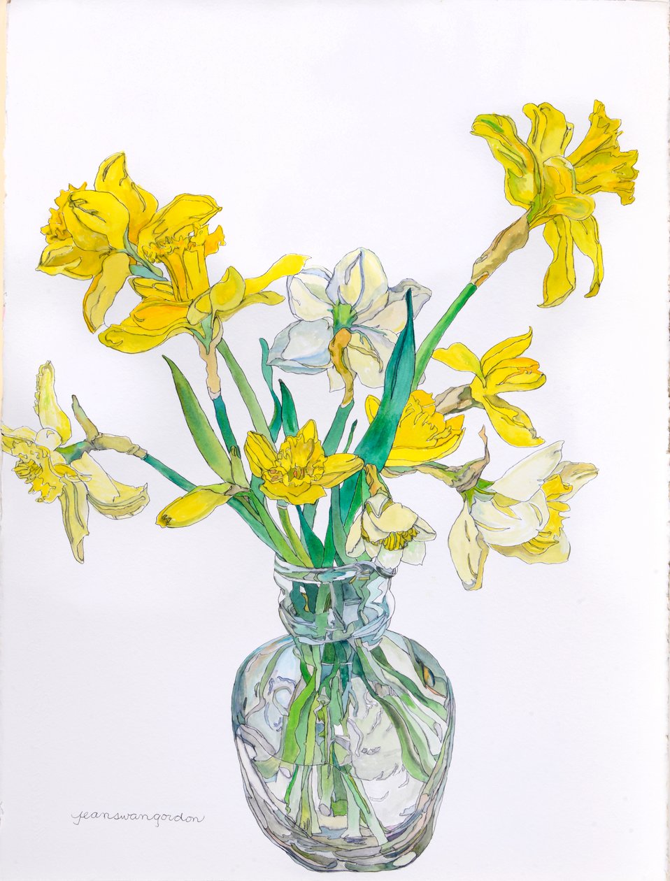 Narcisos en un jarrón de cuello estrecho, 2006 (acuarela y tinta sobre papel) de Jean Swan Gordon