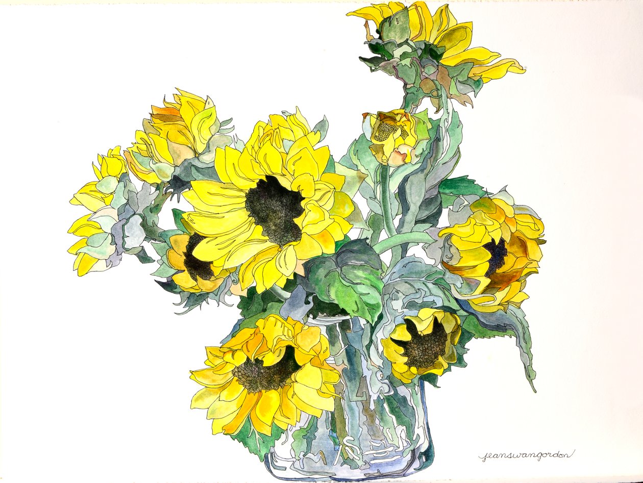 Girasoles, 2002 (acuarela y tinta sobre papel) de Jean Swan Gordon