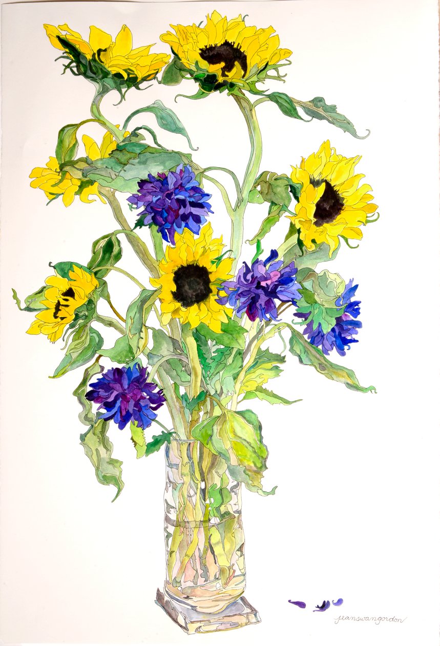 Girasoles Aster de Jean Swan Gordon