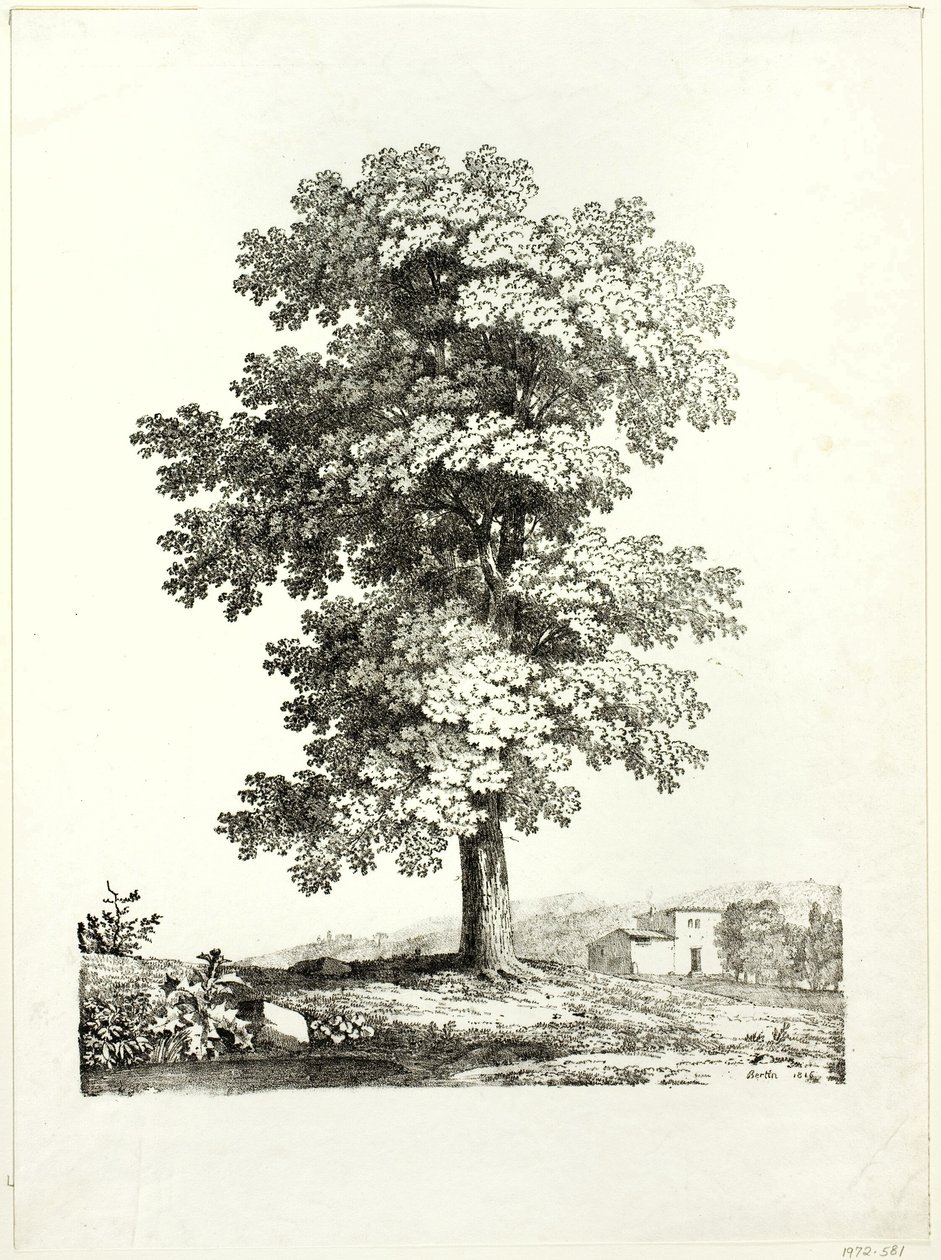 Estudio de un árbol de Jean Victor Bertin