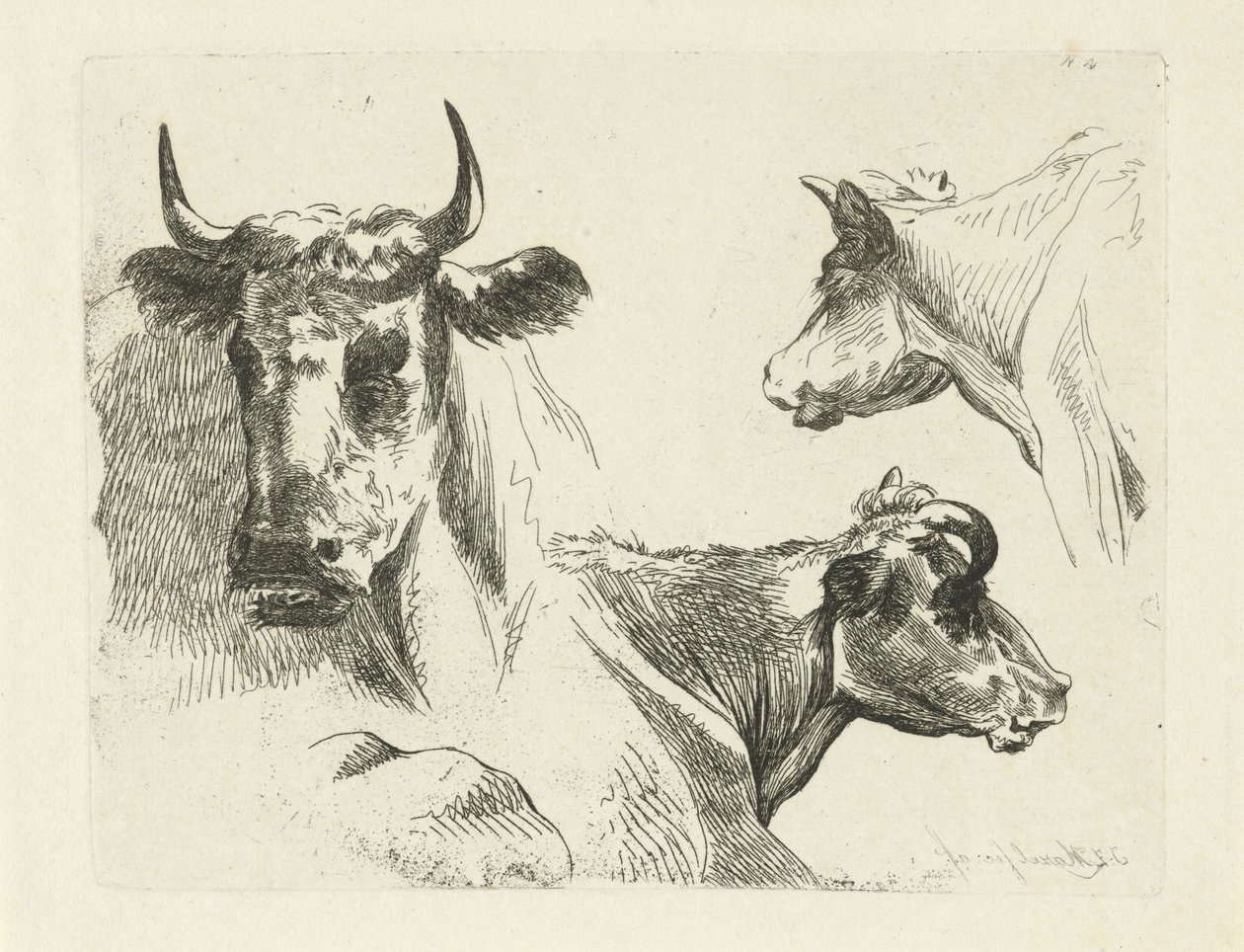 Tres cabezas de vaca de Jean Zacherie Mazel