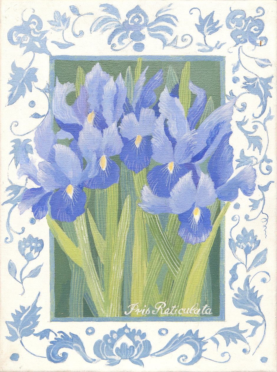 Iris azul (acrílico) de Jennifer Abbott
