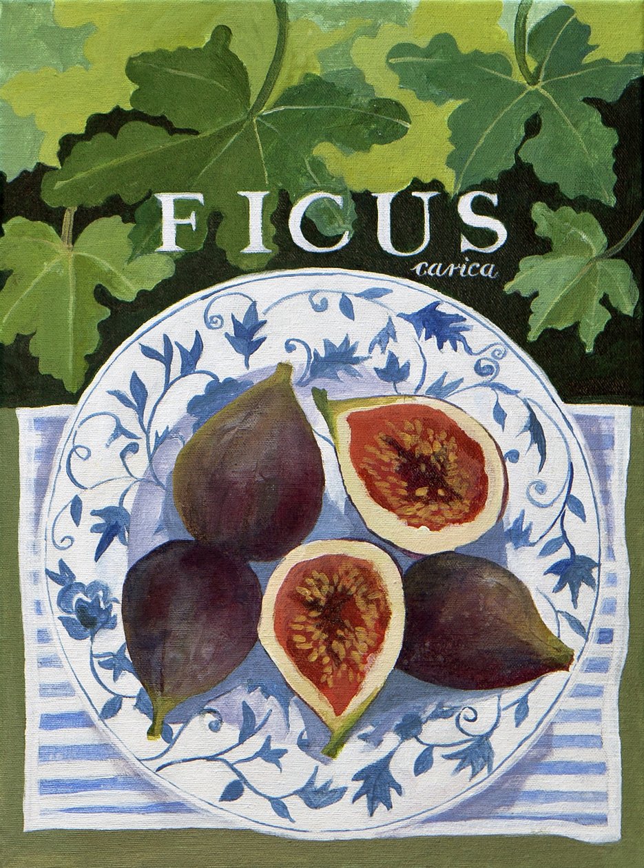Fieus (higos), 2014 (acrílico sobre lienzo) de Jennifer Abbott