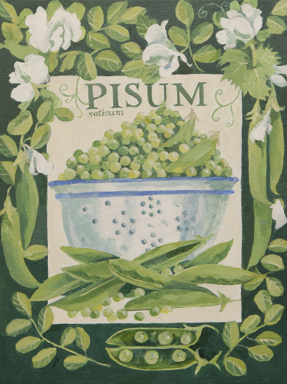Pisum, Guisantes (acrílico) de Jennifer Abbott