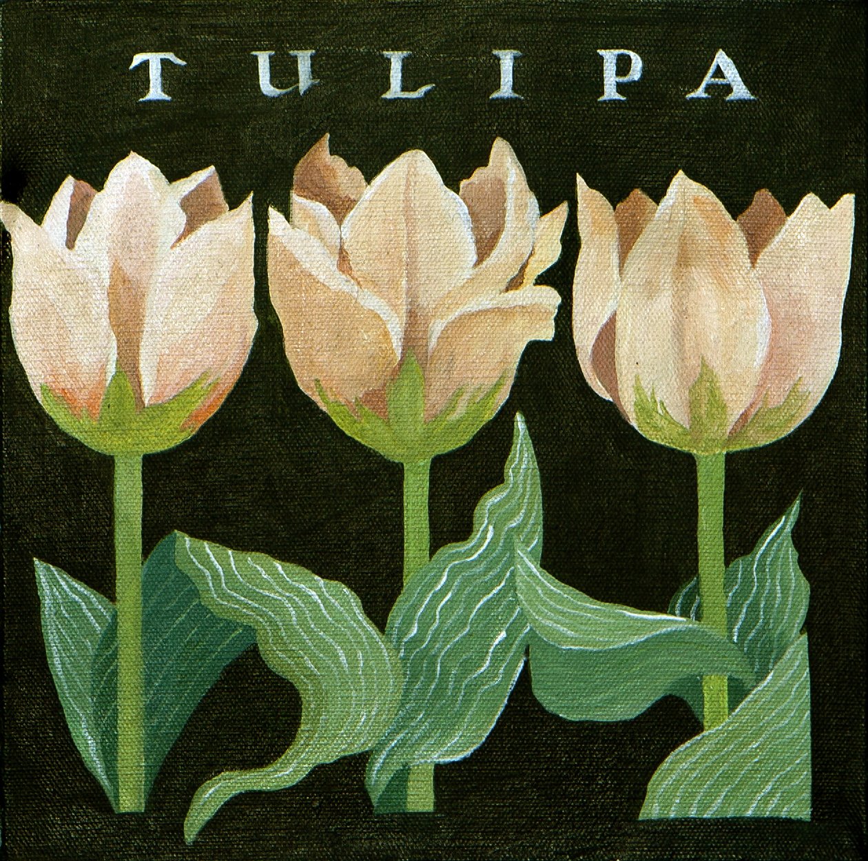 Tulipanes, 2013 (acrílico sobre lienzo) de Jennifer Abbott