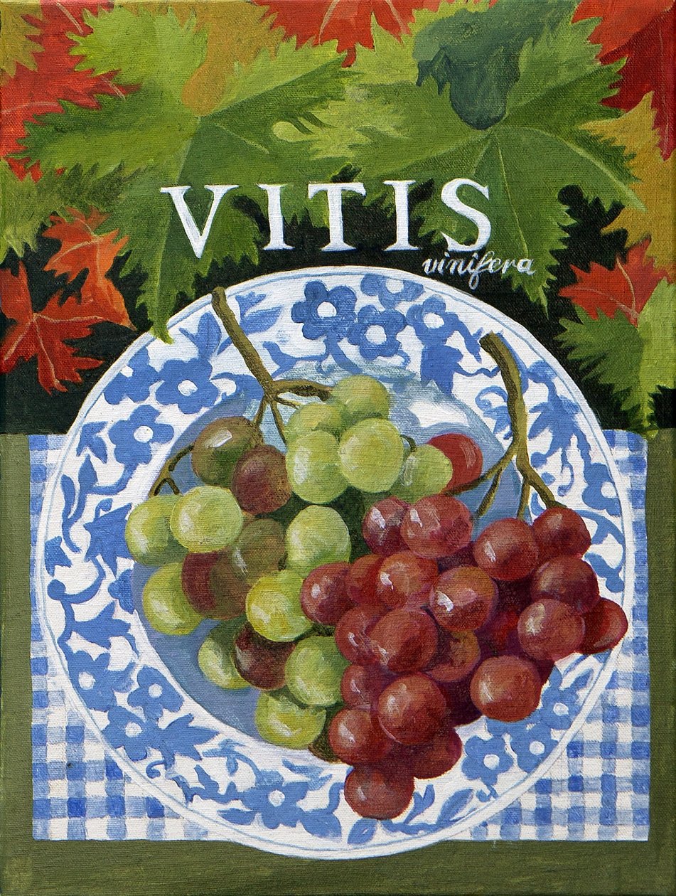 Vitus (uvas), 2014 (acrílico sobre lienzo) de Jennifer Abbott