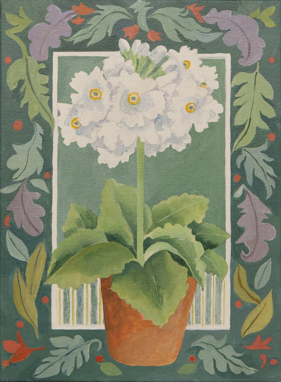 Prímula blanca (acrílico) de Jennifer Abbott