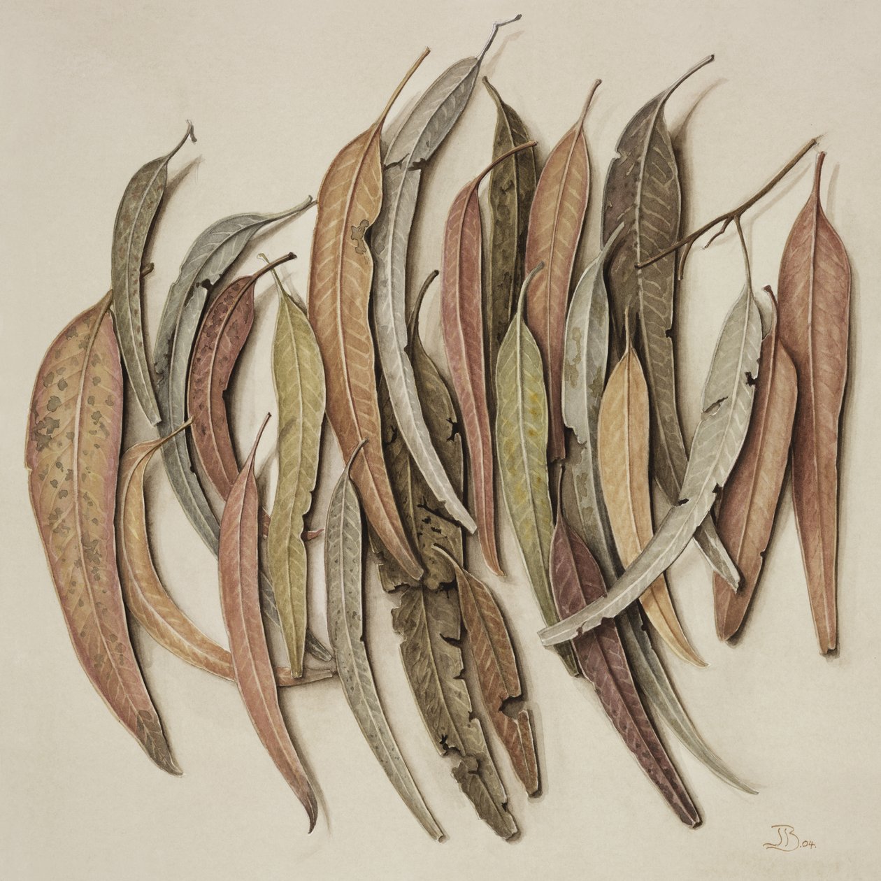 Hojas de eucalipto, 2004 de Jenny Barron
