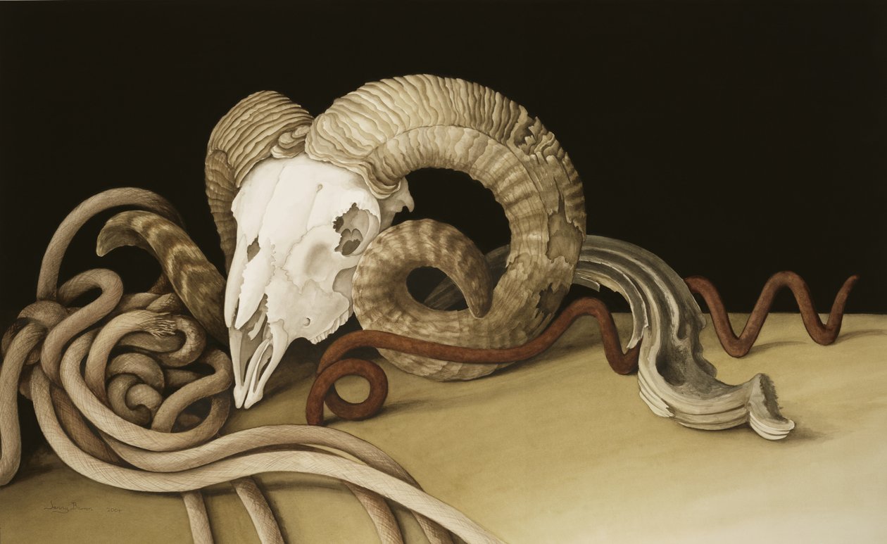 Vanitas, 2004 de Jenny Barron