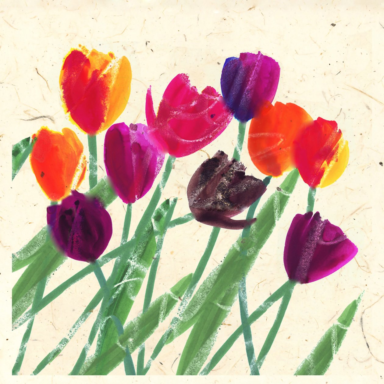 BELLEZAS DE HOLANDA de Jenny Frean
