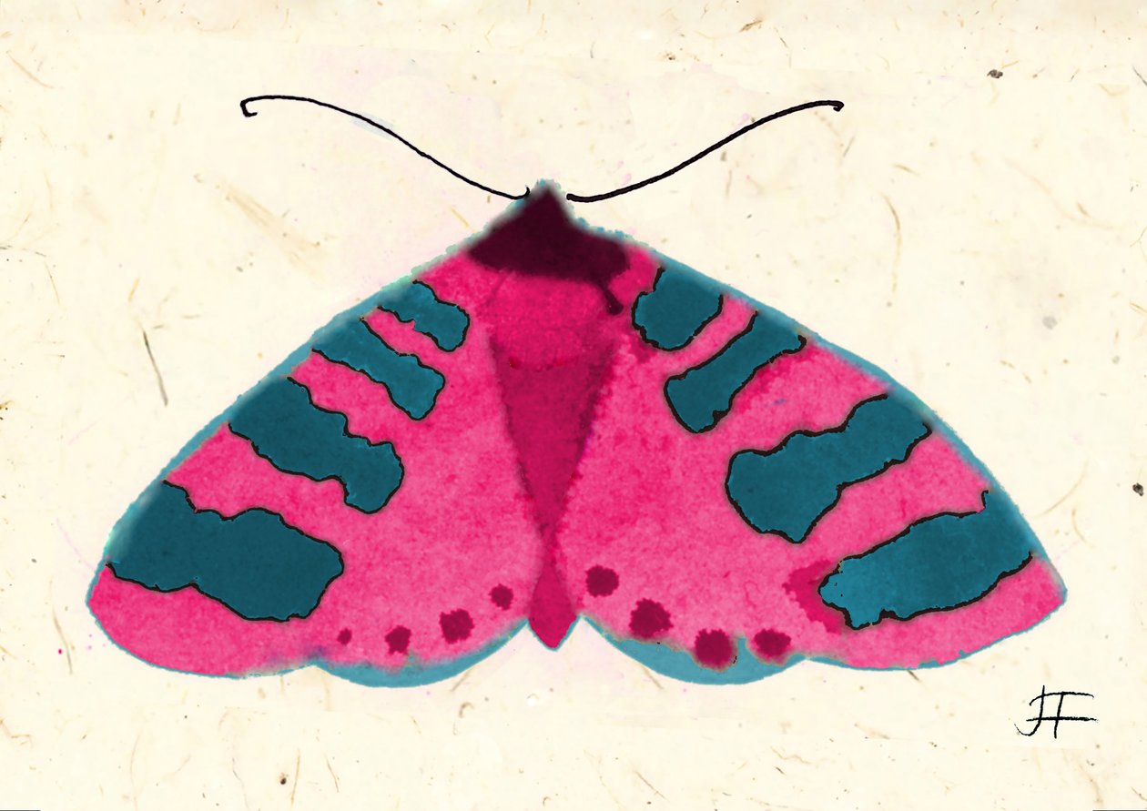 Polilla rosa, 2024 (acuarela sobre papel de Jenny Frean