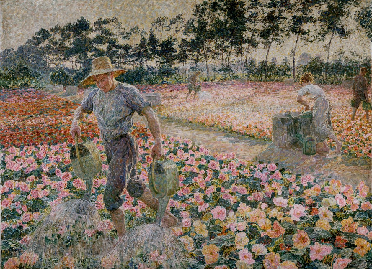 Las Begonias (El Jardinero) de Jenny Montigny