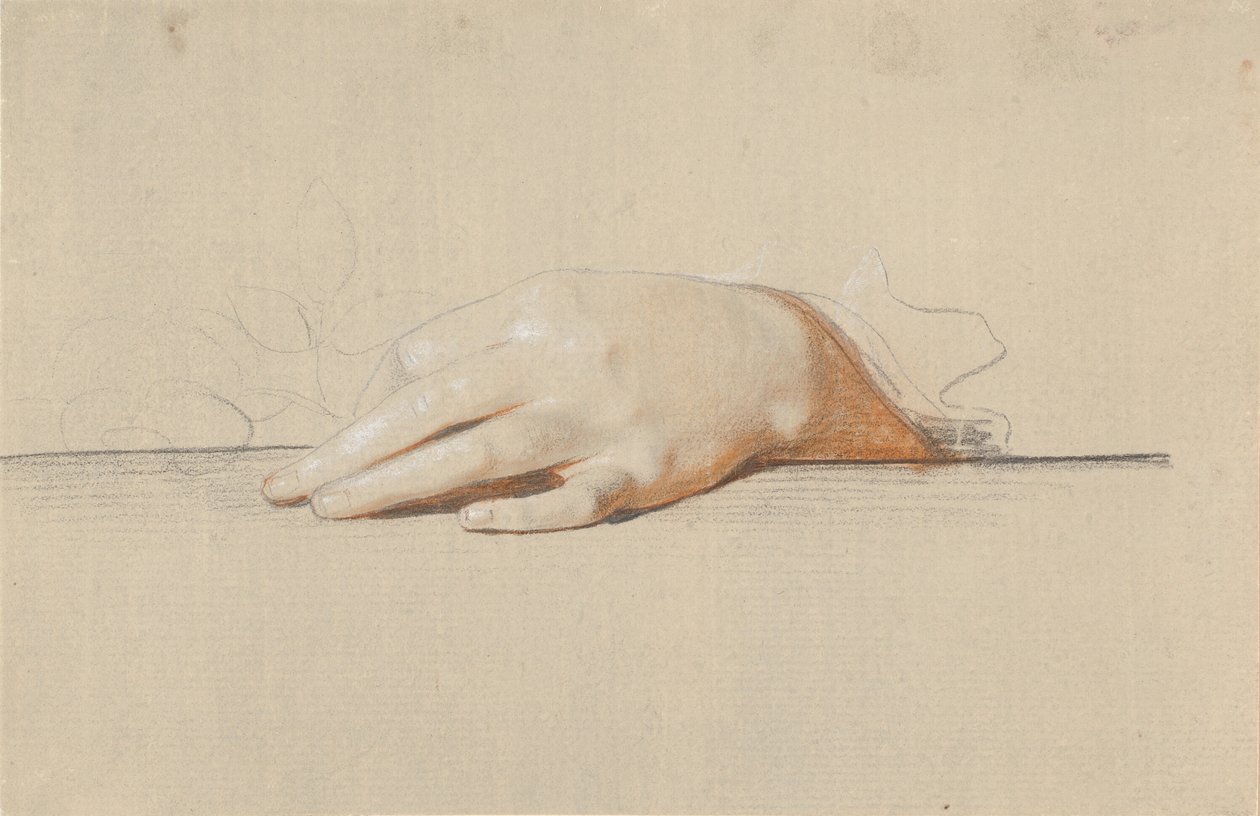 Una mano izquierda descansando sobre una mesa, sosteniendo una rosa de Jens Juel