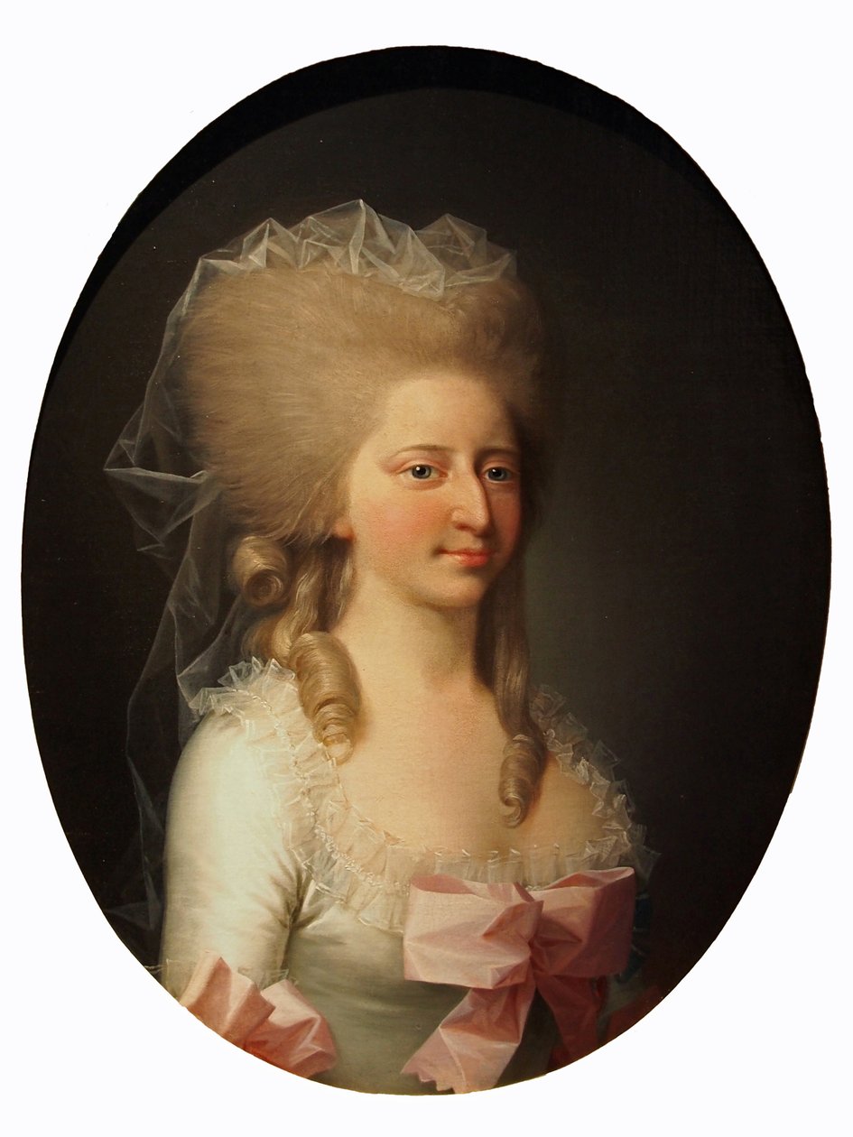 Luise Auguste contra Dinamarca Residencia Museo Celle de Jens Juel