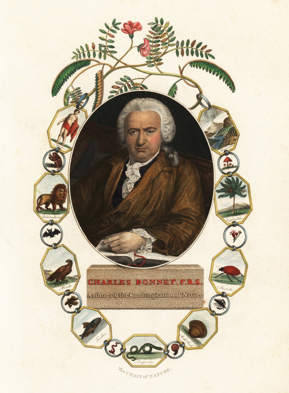 Retrato de Charles Bonnet, naturalista ginebrino.1803 (grabado) de Jens Juel