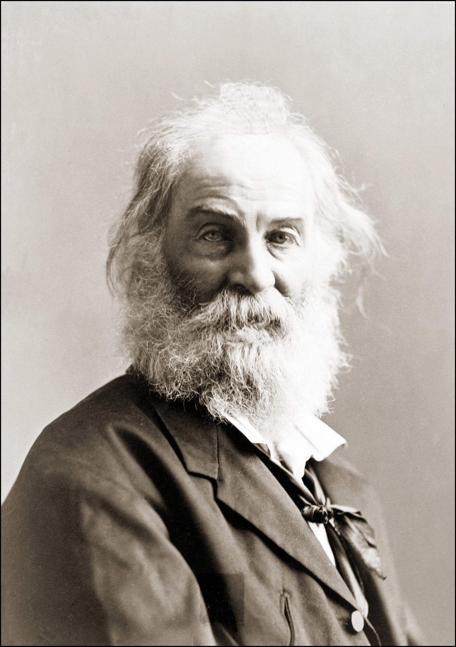 Retrato de Walt Whitman (1819 - 1892) por Gurney entre 1880 y 1890 de Jeremiah Gurney