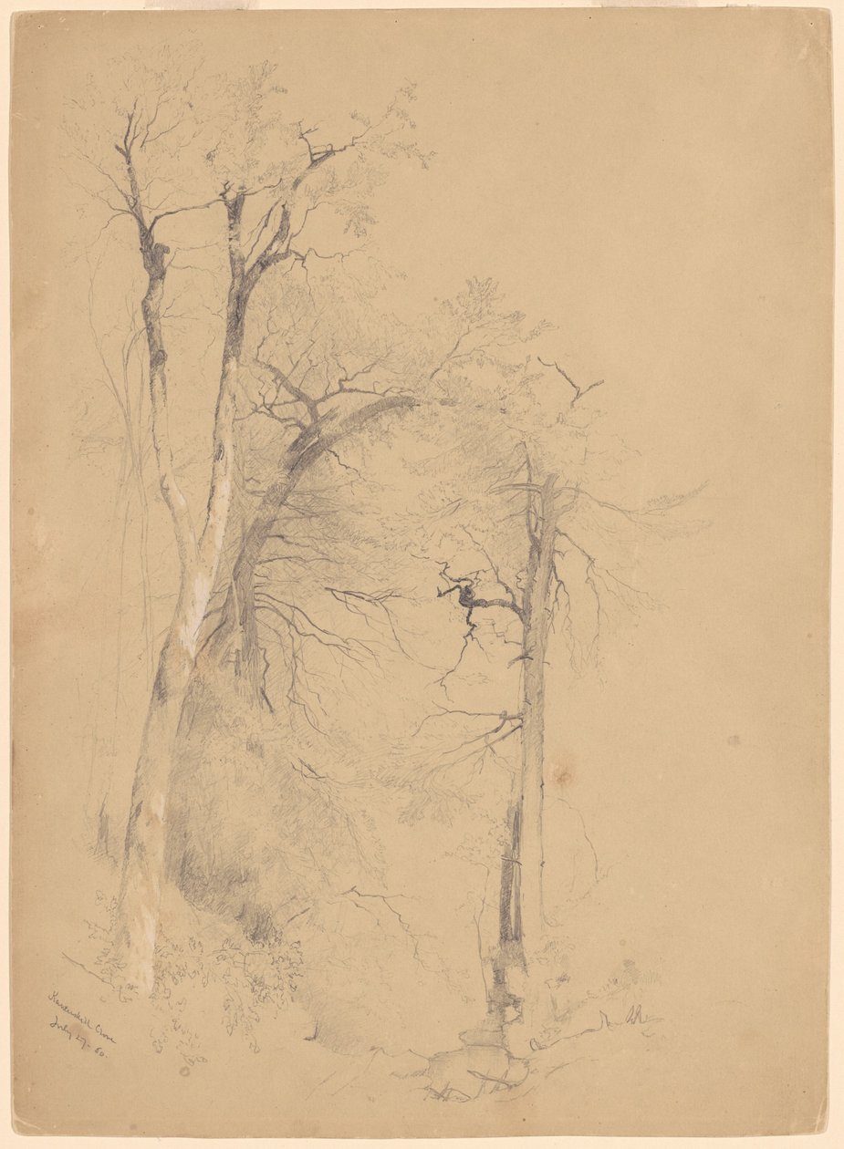 Kauterskill Clove de Jervis McEntee