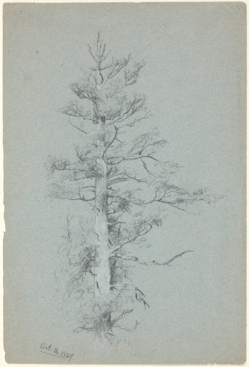 estudio de árboles de Jervis McEntee