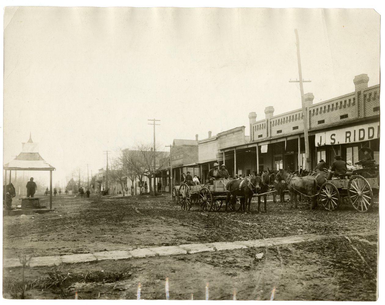 Arkansas 1903 de Jessie Tarbox Beals
