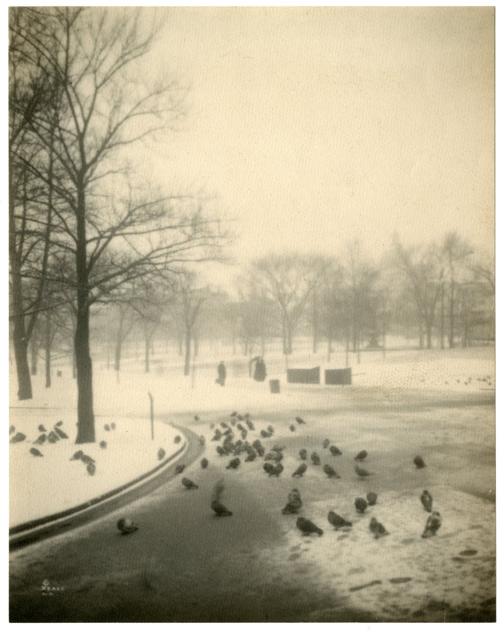 Boston Common, Boston, EE.UU., c.1902-10 de Jessie Tarbox Beals