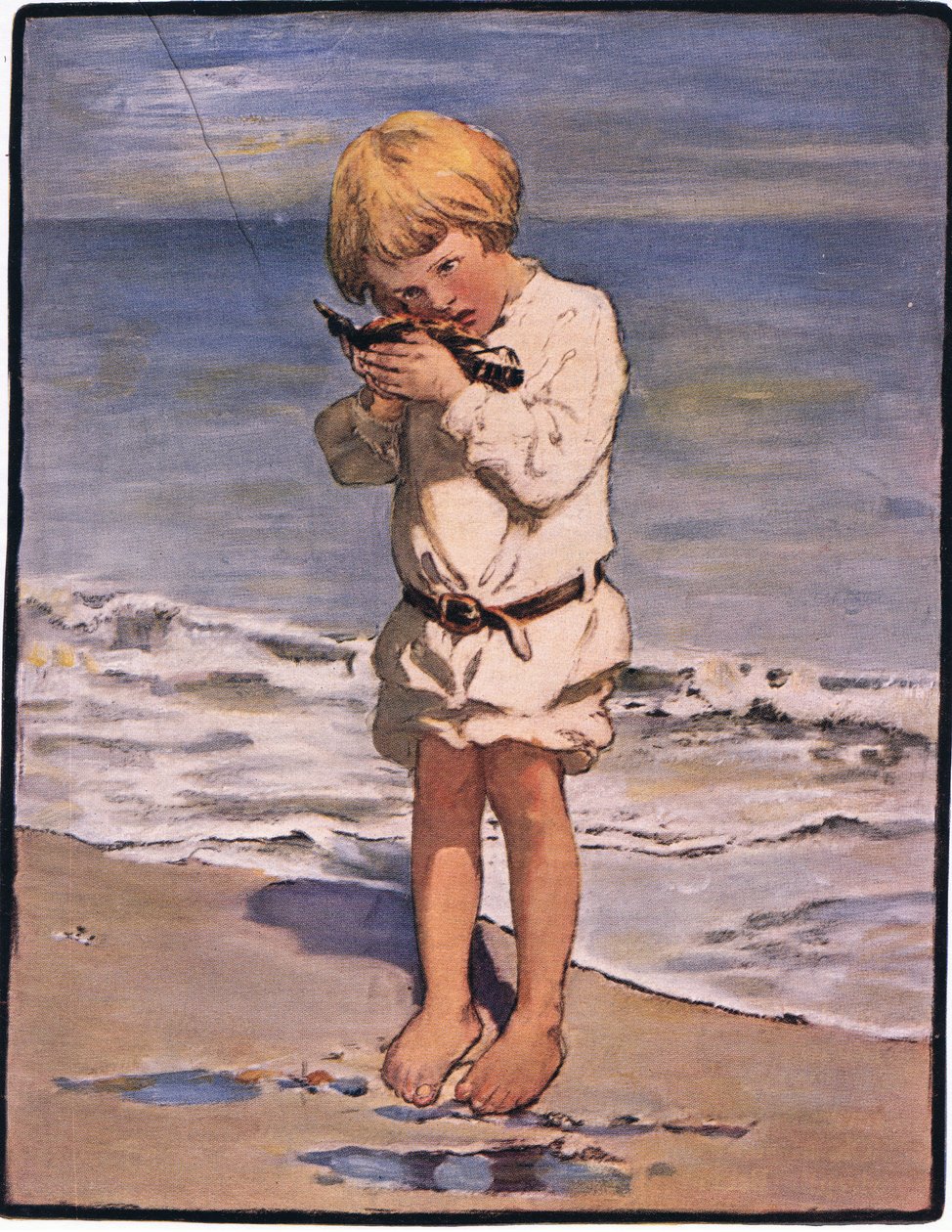 El descubrimiento de los chicos de Billy fue una gaviota, con un ala herida (litografía en color) de Jessie Willcox Smith