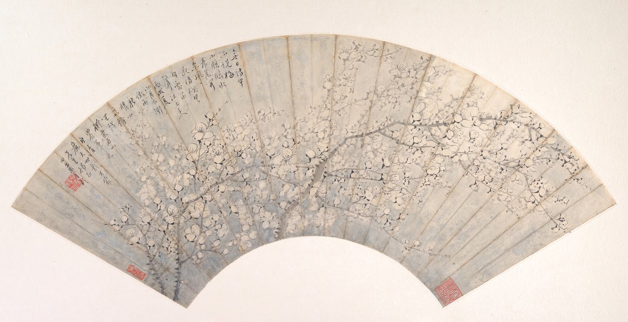 Ciruela de Jin Lan