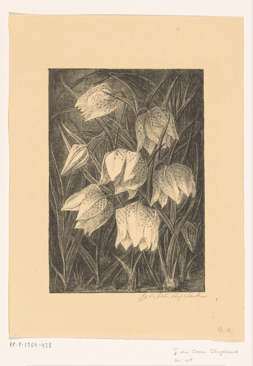 Flores de avefría de Jo van Oosten Slingeland (signed by artist)