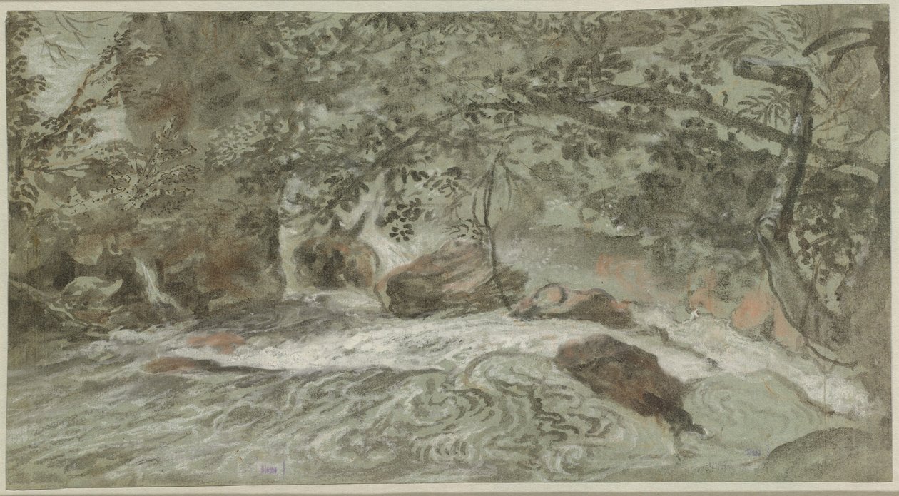 Rápidos con ramas colgantes de Joachim Franz Beich