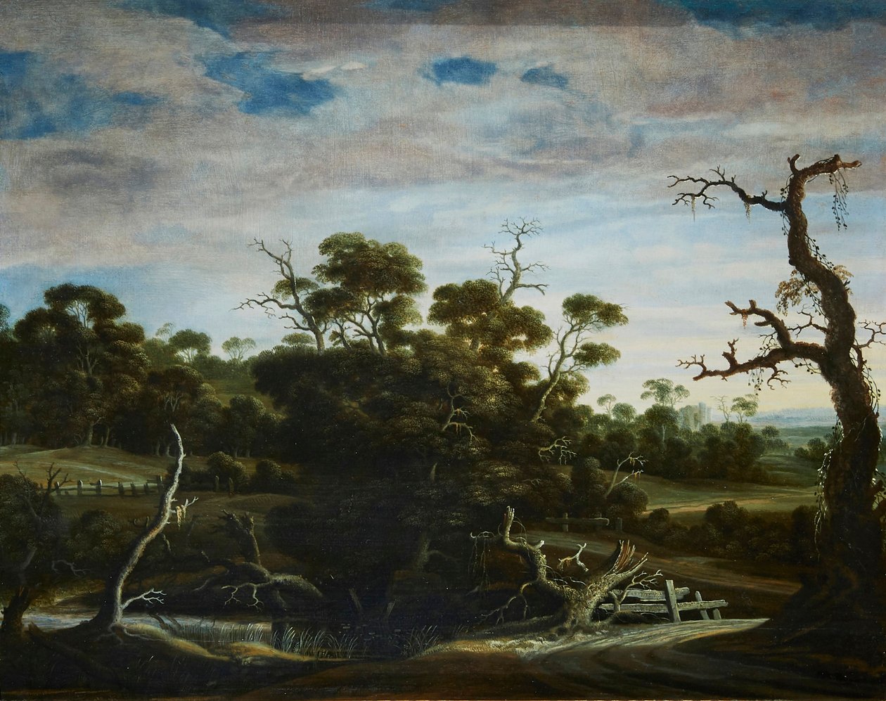 Paisaje montañoso con árboles de Joachim Govertsz Camphuysen
