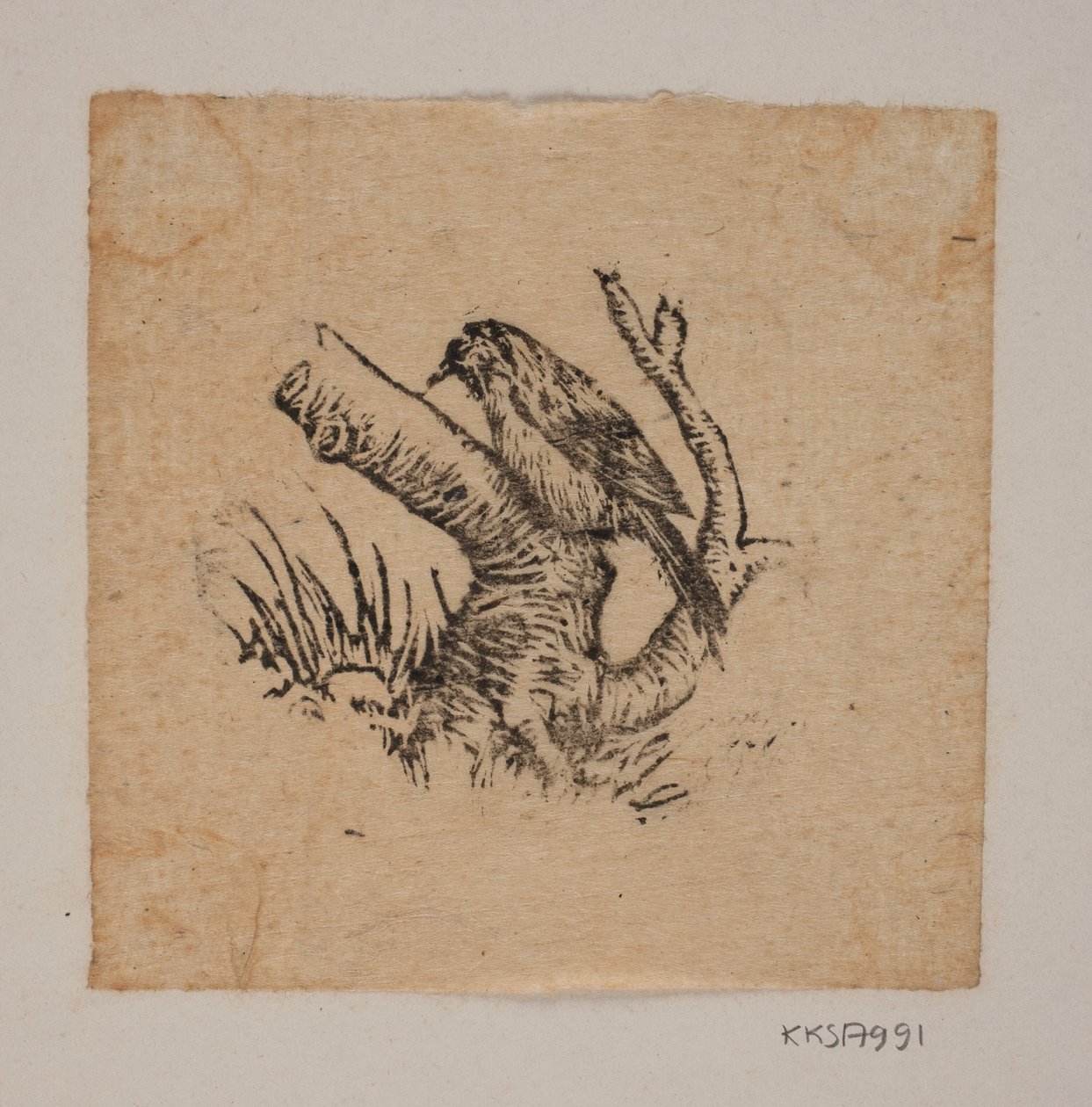 Un pájaro carpintero de Joakim Frederik Skovgaard