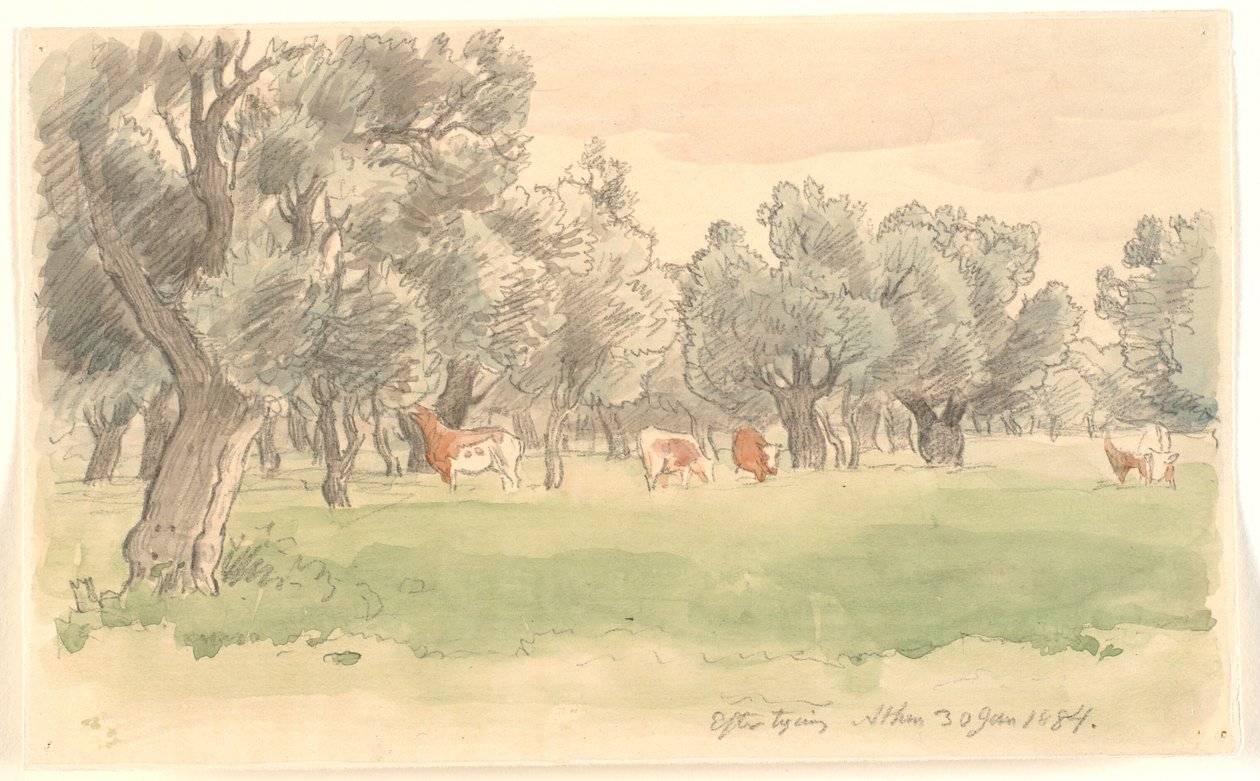 Paisaje griego con olivos y ganado pastando de Joakim Frederik Skovgaard