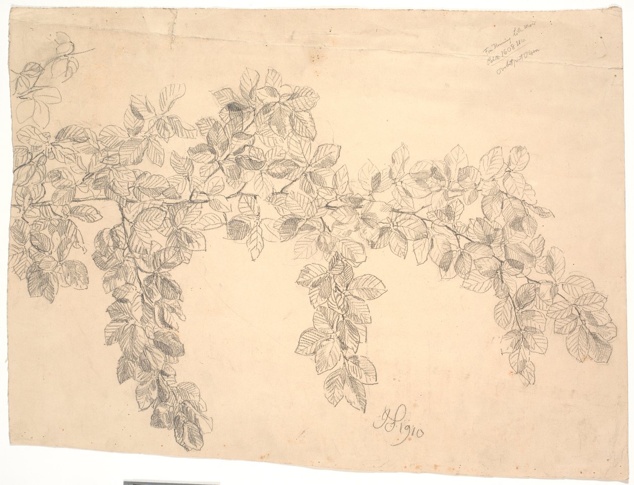 Estudio de una rama de haya de Joakim Frederik Skovgaard