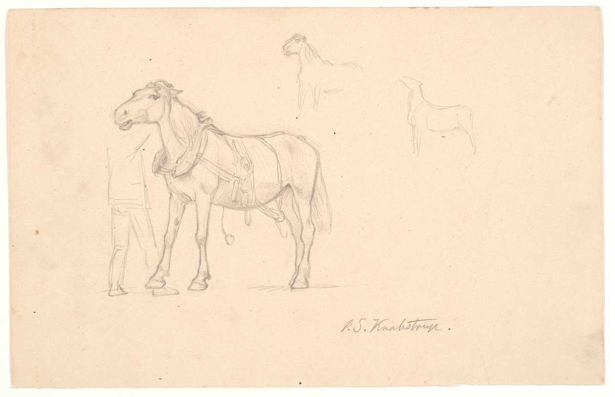 Tres estudios de un caballo de Joakim Frederik Skovgaard