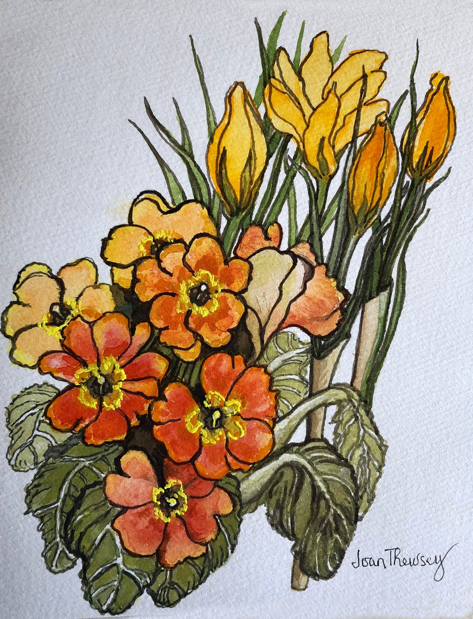Crocus y prímulas de Joan Thewsey