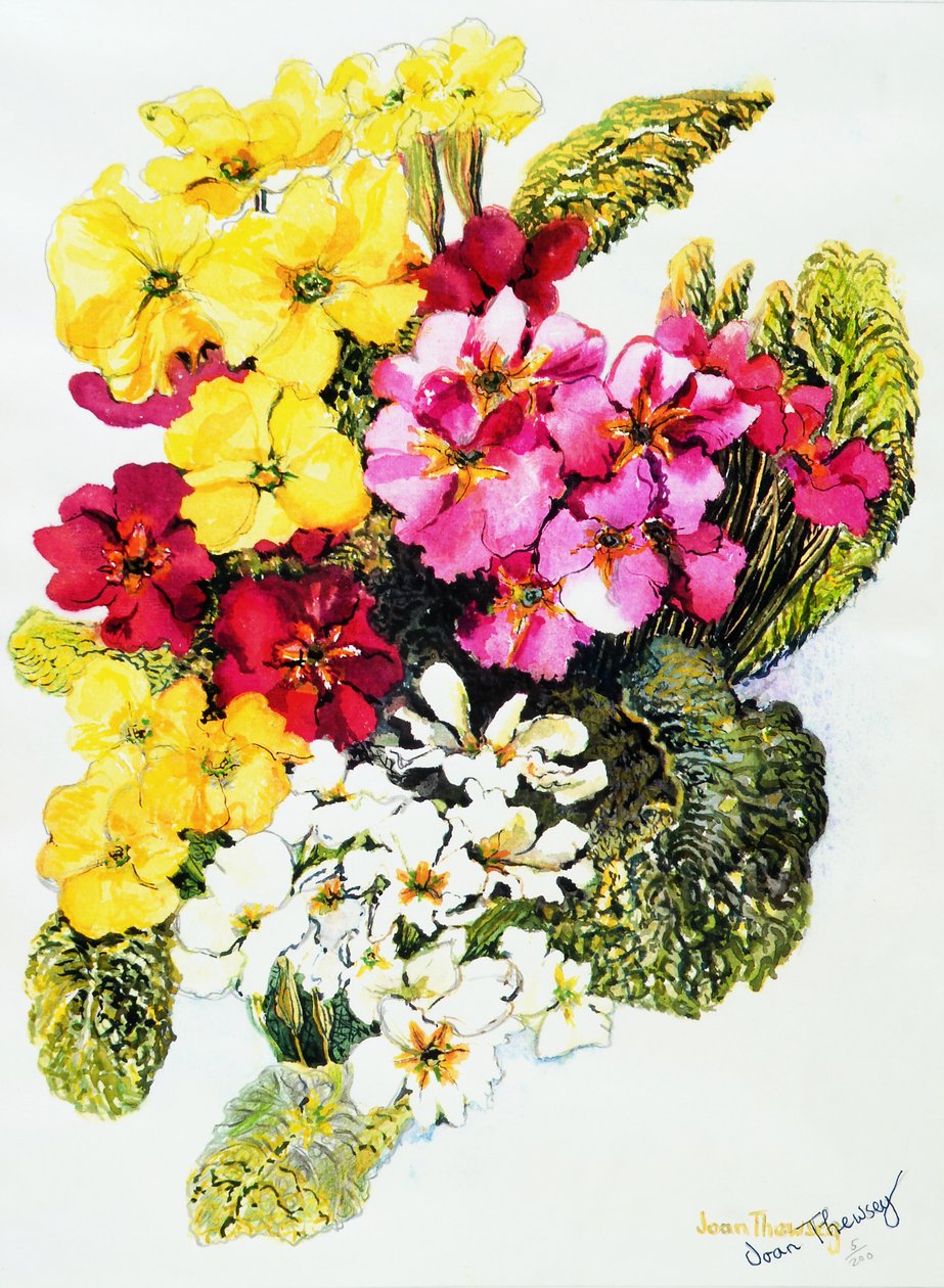 Primaveras, blancas, amarillas, rosas y rojas, 2000 de Joan Thewsey