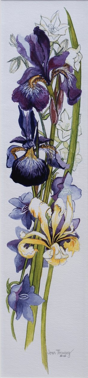 Iris púrpuras y amarillos con campanulas blancas y malvas, 2013 de Joan Thewsey