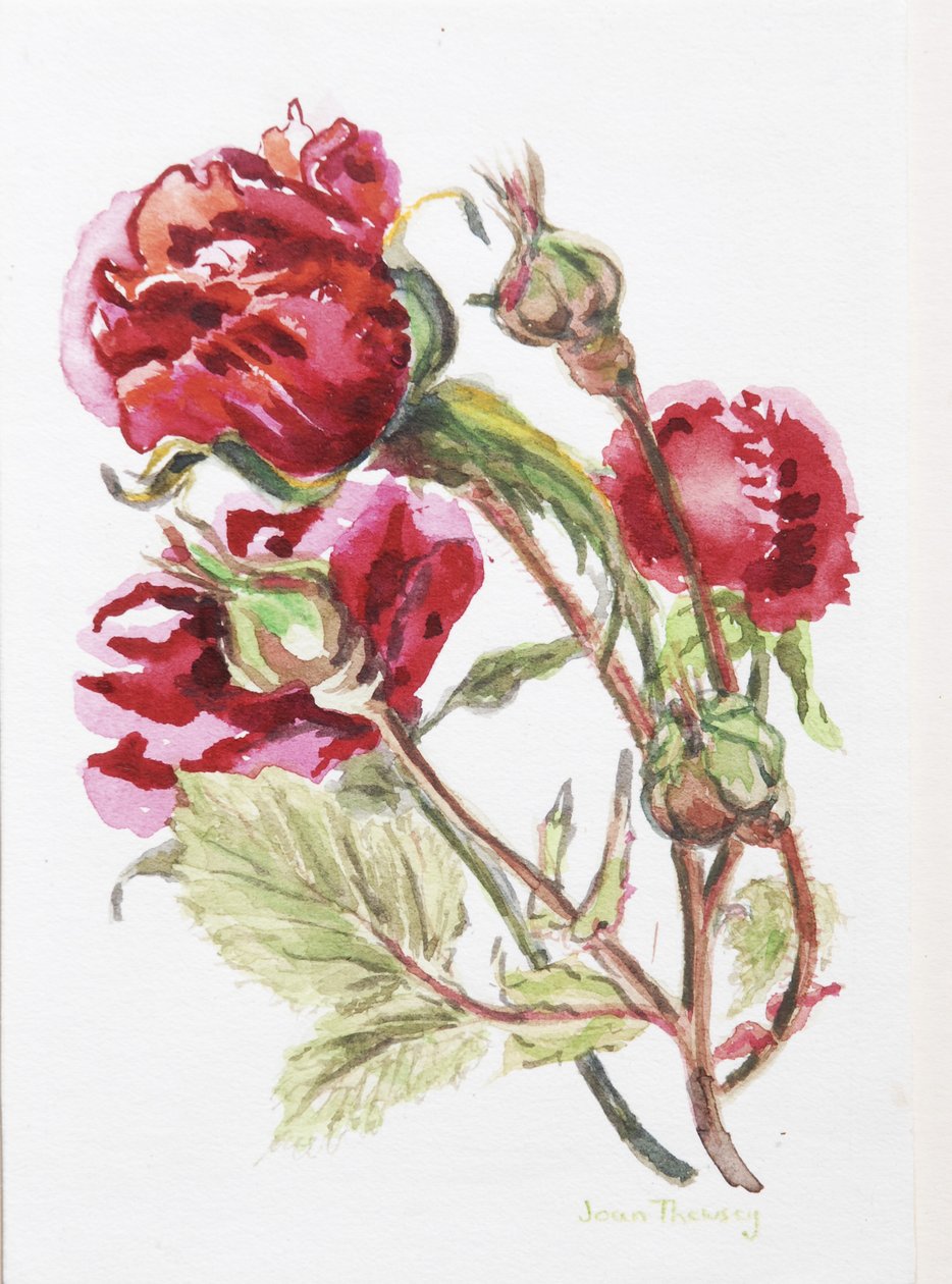 Rociada de rosa roja, 2001 de Joan Thewsey