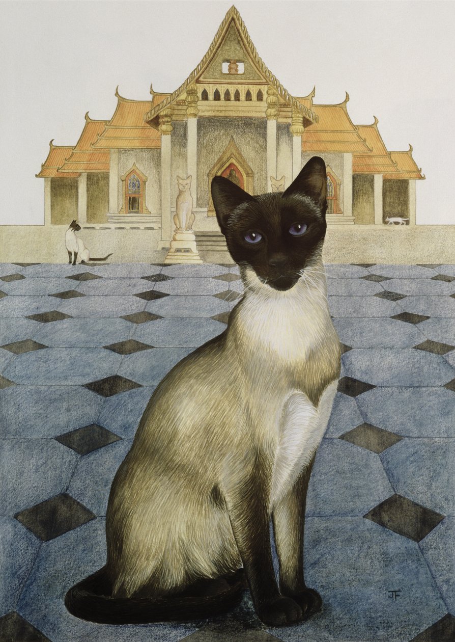 Siamés de Joan Freestone