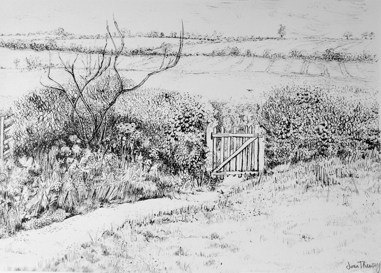 Puerta de cabaña y vista más allá, 2015 de Joan Thewsey
