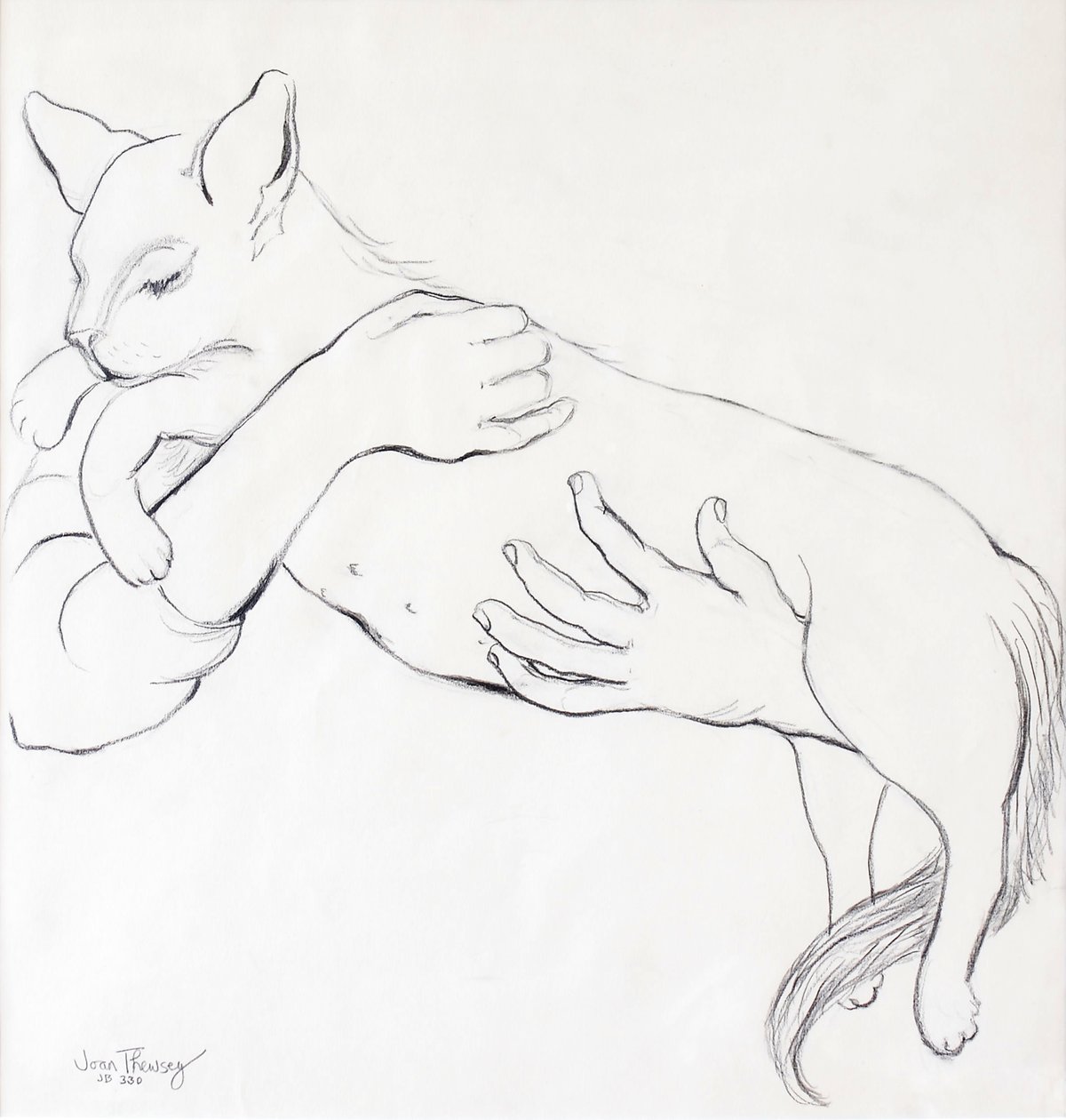 Gato mimoso, 2000 de Joan Thewsey