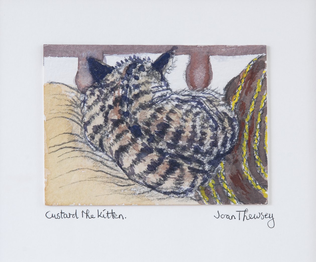 Custard el gatito, 2005 de Joan Thewsey