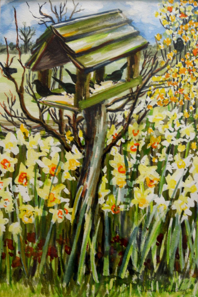 Narcisos y pájaros en la pajarera, 2000 de Joan Thewsey
